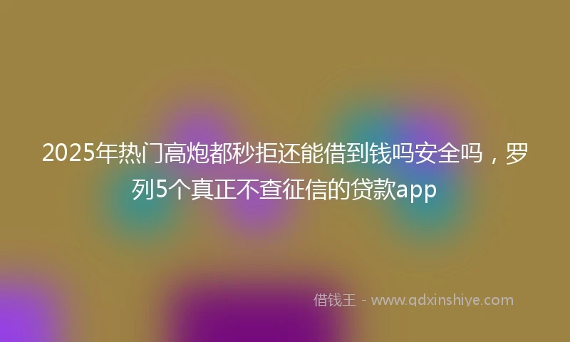 2025年热门高炮都秒拒还能借到钱吗安全吗，罗列5个真正不查征信的贷款app