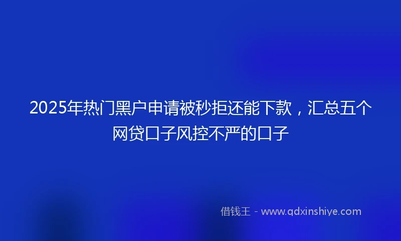 2025年热门黑户申请被秒拒还能下款，汇总五个网贷口子风控不严的口子