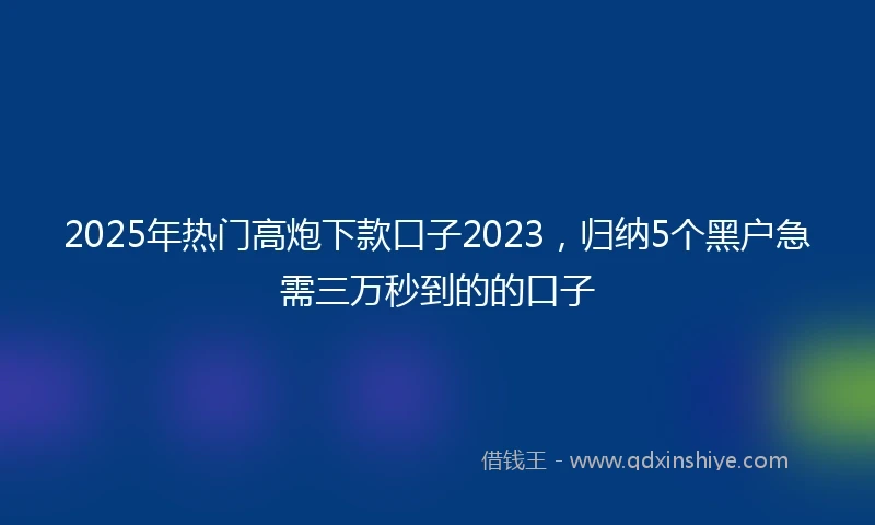 2025年热门高炮下款口子2023，归纳5个黑户急需三万秒到的的口子