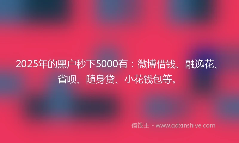 2025年的黑户秒下5000有：微博借钱、融逸花、省呗、随身贷、小花钱包等。