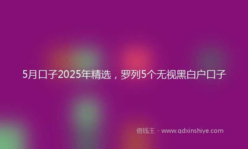 5月口子2025年精选，罗列5个无视黑白户口子