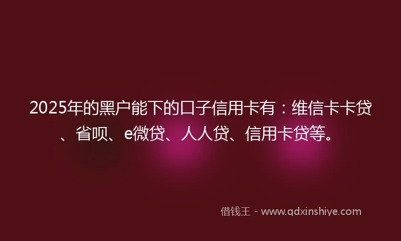 2025年的黑户能下的口子信用卡有：维信卡卡贷、省呗、e微贷、人人贷、信用卡贷等。