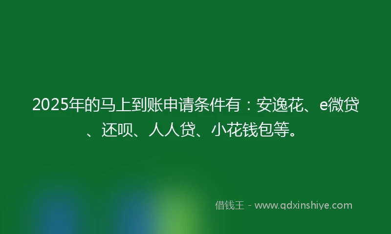 2025年的马上到账申请条件有：安逸花、e微贷、还呗、人人贷、小花钱包等。