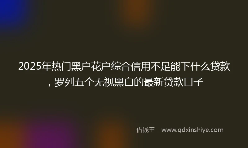 2025年热门黑户花户综合信用不足能下什么贷款，罗列五个无视黑白的最新贷款口子