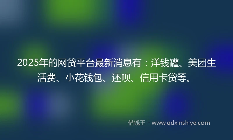2025年的网贷平台最新消息有：洋钱罐、美团生活费、小花钱包、还呗、信用卡贷等。