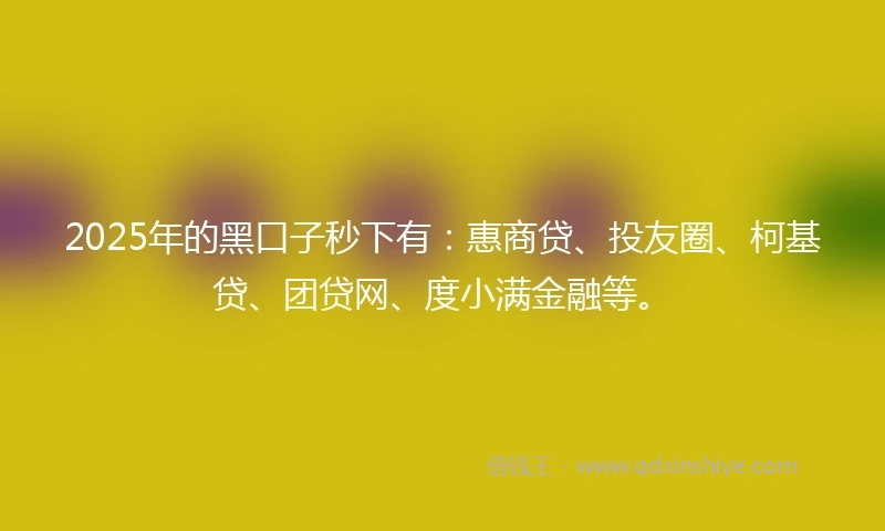 2025年的黑口子秒下有：惠商贷、投友圈、柯基贷、团贷网、度小满金融等。
