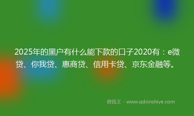 2025年的黑户有什么能下款的口子2020有：e微贷、你我贷、惠商贷、信用卡贷、京东金融等。