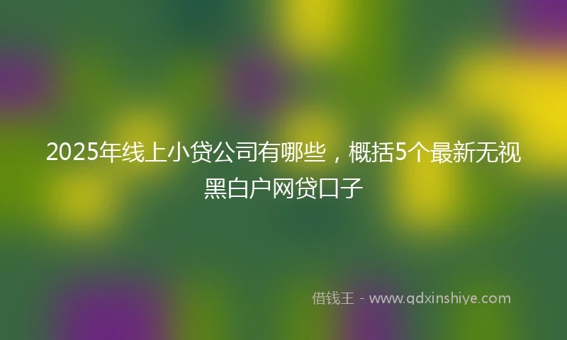 2025年线上小贷公司有哪些，概括5个最新无视黑白户网贷口子
