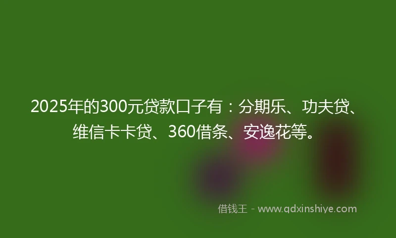 2025年的300元贷款口子有：分期乐、功夫贷、维信卡卡贷、360借条、安逸花等。