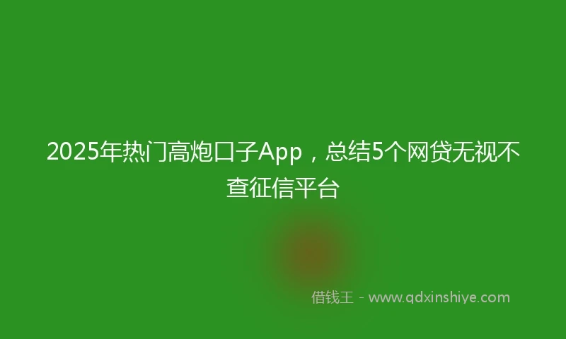 2025年热门高炮口子App，总结5个网贷无视不查征信平台