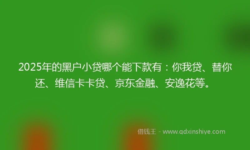 2025年的黑户小贷哪个能下款有：你我贷、替你还、维信卡卡贷、京东金融、安逸花等。