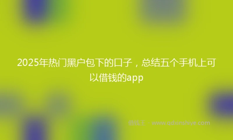 2025年热门黑户包下的口子，总结五个手机上可以借钱的app