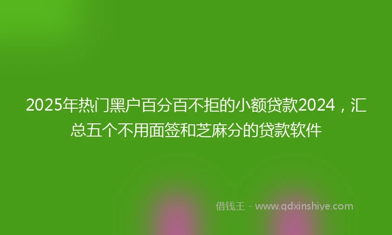 2025年热门黑户百分百不拒的小额贷款2024，汇总五个不用面签和芝麻分的贷款软件