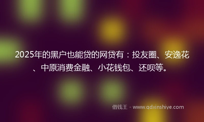 2025年的黑户也能贷的网贷有：投友圈、安逸花、中原消费金融、小花钱包、还呗等。