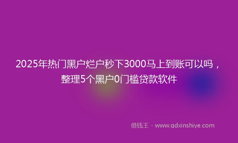 2025年热门黑户烂户秒下3000马上到账可以吗，整理5个黑户0门槛贷款软件