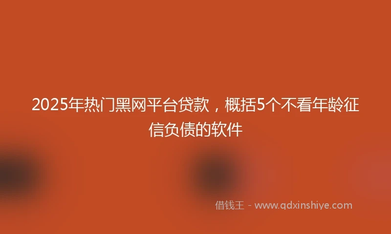 2025年热门黑网平台贷款，概括5个不看年龄征信负债的软件
