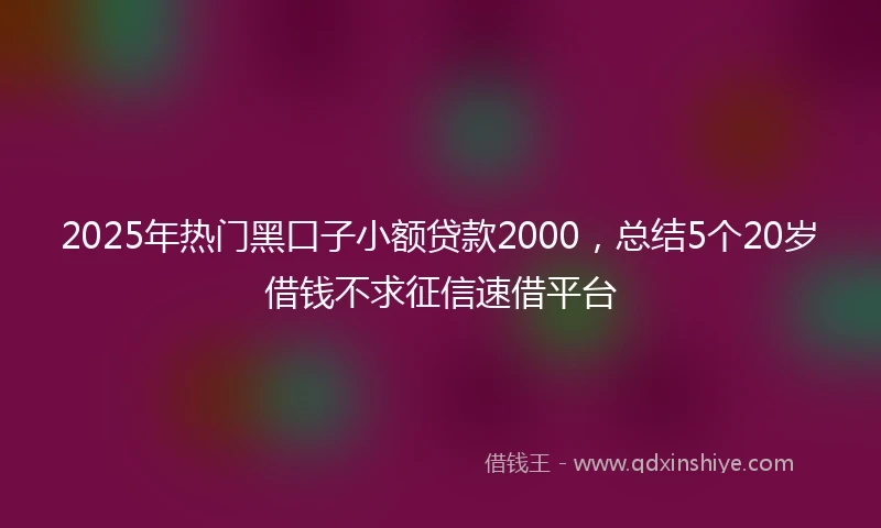 2025年热门黑口子小额贷款2000，总结5个20岁借钱不求征信速借平台