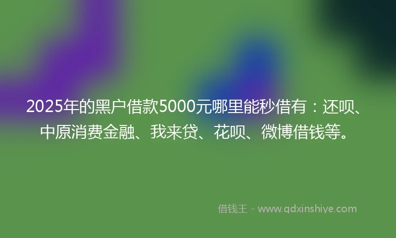 2025年的黑户借款5000元哪里能秒借有：还呗、中原消费金融、我来贷、花呗、微博借钱等。