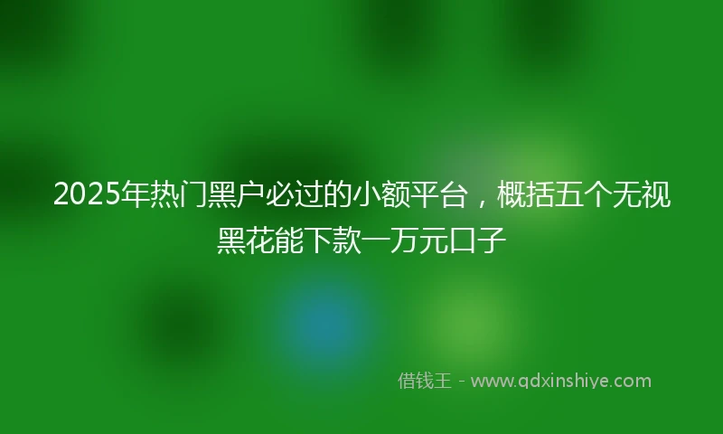 2025年热门黑户必过的小额平台，概括五个无视黑花能下款一万元口子