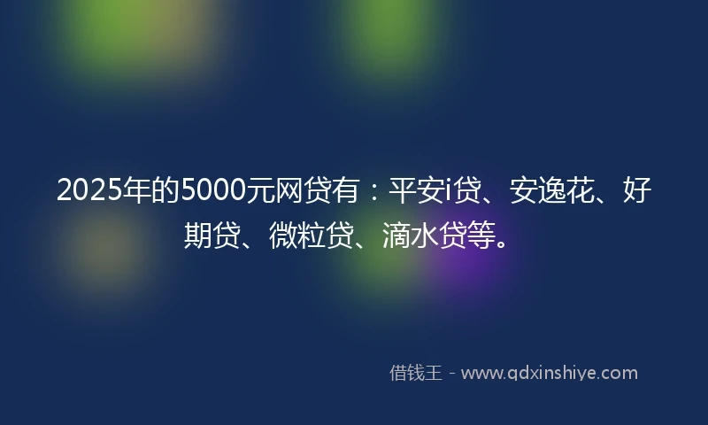 2025年的5000元网贷有：平安i贷、安逸花、好期贷、微粒贷、滴水贷等。