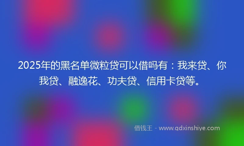 2025年的黑名单微粒贷可以借吗有：我来贷、你我贷、融逸花、功夫贷、信用卡贷等。