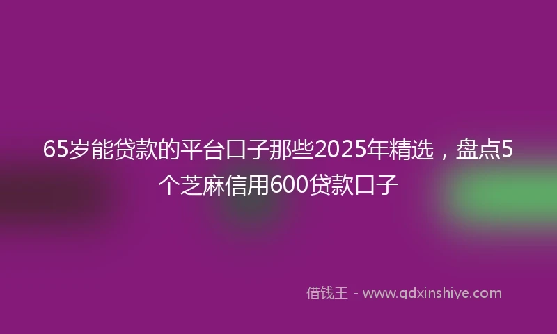 65岁能贷款的平台口子那些2025年精选，盘点5个芝麻信用600贷款口子