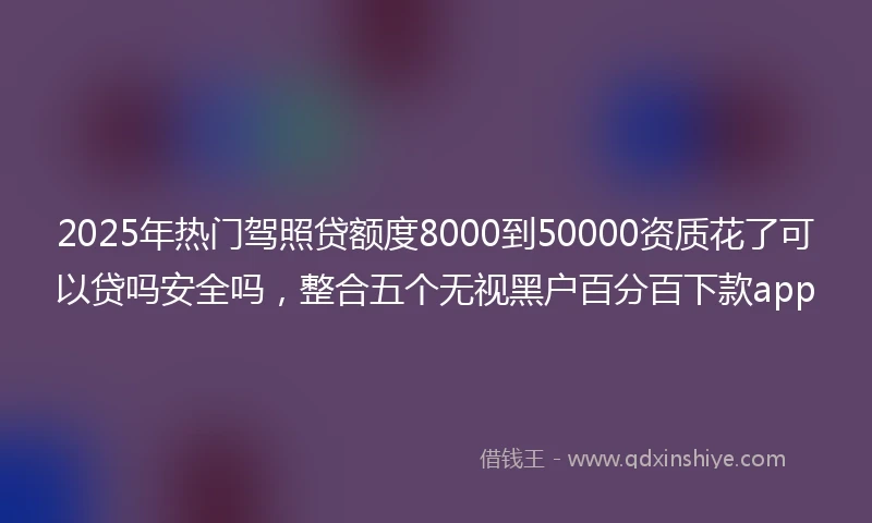 2025年热门驾照贷额度8000到50000资质花了可以贷吗安全吗，整合五个无视黑户百分百下款app