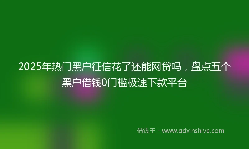 2025年热门黑户征信花了还能网贷吗，盘点五个黑户借钱0门槛极速下款平台