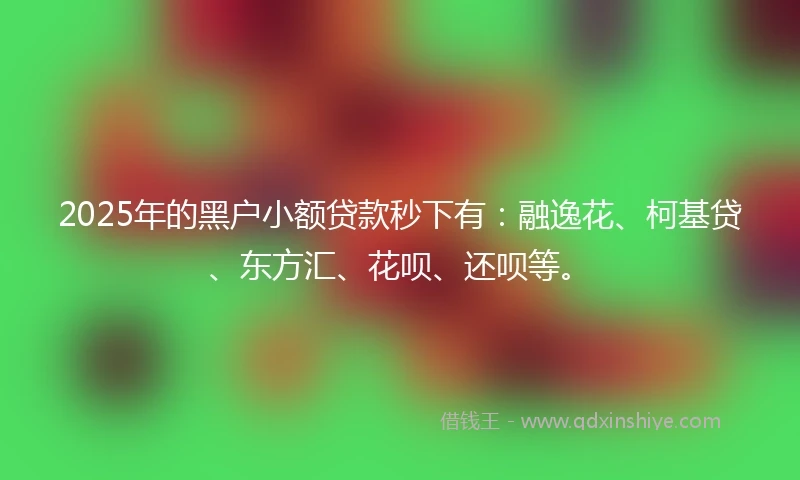 2025年的黑户小额贷款秒下有：融逸花、柯基贷、东方汇、花呗、还呗等。