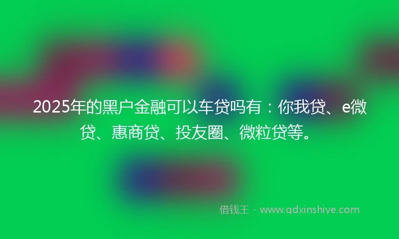 2025年的黑户金融可以车贷吗有：你我贷、e微贷、惠商贷、投友圈、微粒贷等。