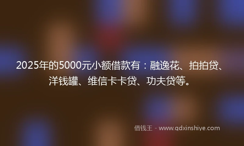 2025年的5000元小额借款有：融逸花、拍拍贷、洋钱罐、维信卡卡贷、功夫贷等。