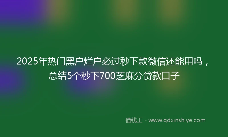 2025年热门黑户烂户必过秒下款微信还能用吗，总结5个秒下700芝麻分贷款口子