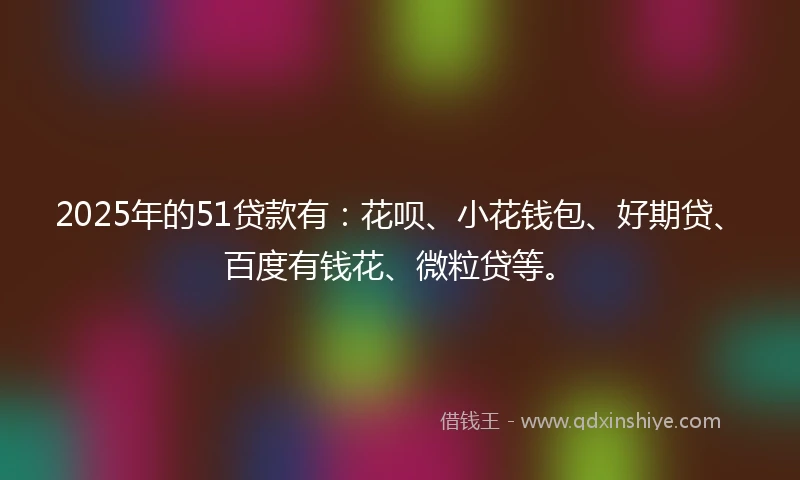 2025年的51贷款有：花呗、小花钱包、好期贷、百度有钱花、微粒贷等。