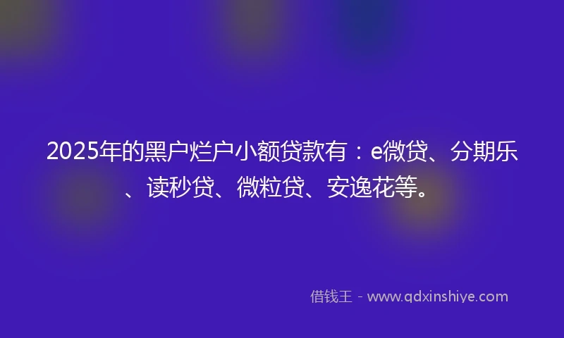2025年的黑户烂户小额贷款有：e微贷、分期乐、读秒贷、微粒贷、安逸花等。