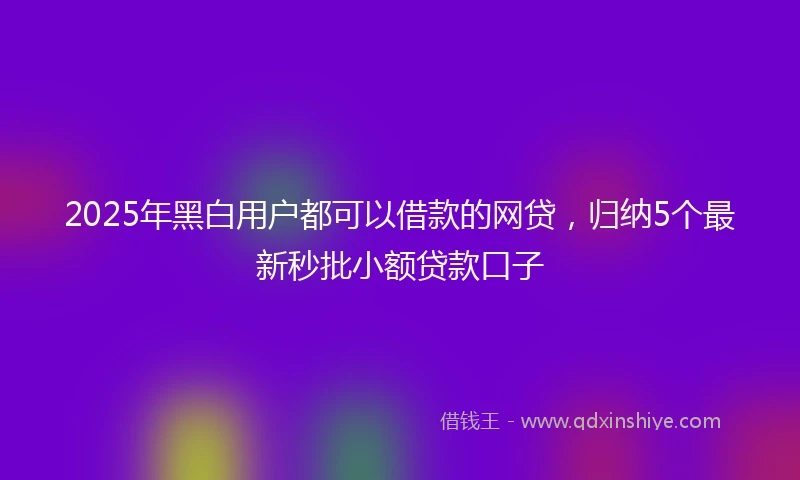 2025年黑白用户都可以借款的网贷，归纳5个最新秒批小额贷款口子