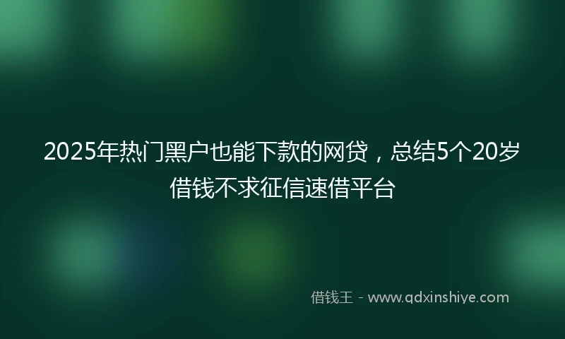 2025年热门黑户也能下款的网贷，总结5个20岁借钱不求征信速借平台