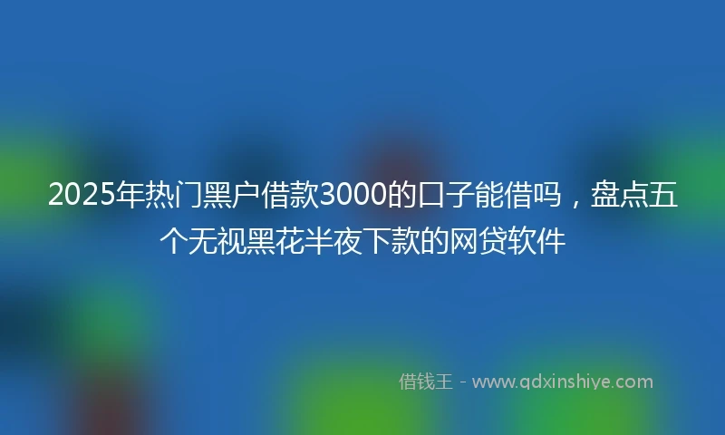 2025年热门黑户借款3000的口子能借吗，盘点五个无视黑花半夜下款的网贷软件