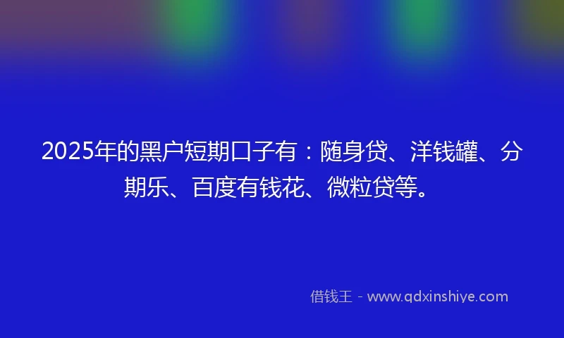 2025年的黑户短期口子有：随身贷、洋钱罐、分期乐、百度有钱花、微粒贷等。