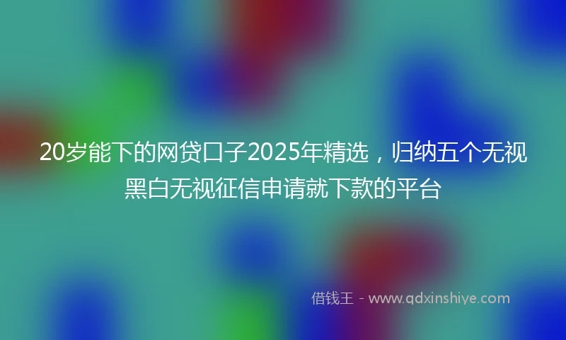 20岁能下的网贷口子2025年精选，归纳五个无视黑白无视征信申请就下款的平台
