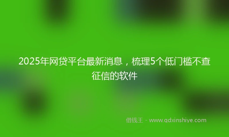 2025年网贷平台最新消息，梳理5个低门槛不查征信的软件