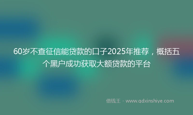 60岁不查征信能贷款的口子2025年推荐，概括五个黑户成功获取大额贷款的平台