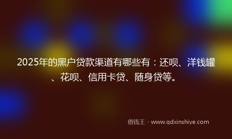 2025年的黑户贷款渠道有哪些有：还呗、洋钱罐、花呗、信用卡贷、随身贷等。