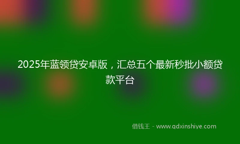 2025年蓝领贷安卓版，汇总五个最新秒批小额贷款平台