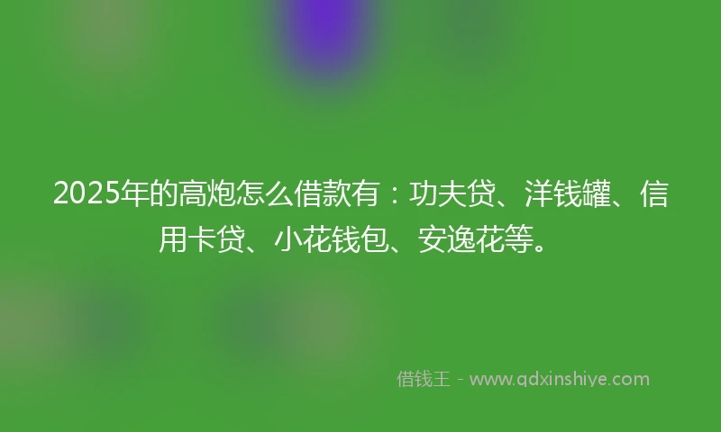 2025年的高炮怎么借款有：功夫贷、洋钱罐、信用卡贷、小花钱包、安逸花等。