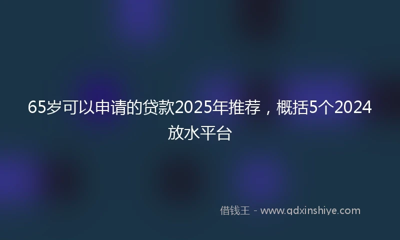 65岁可以申请的贷款2025年推荐，概括5个2024放水平台