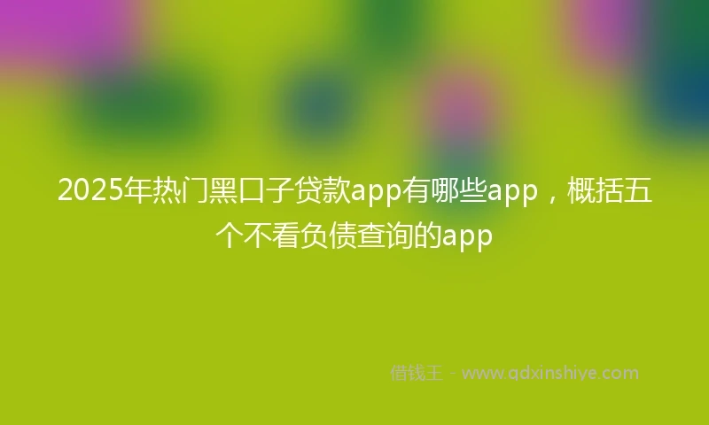 2025年热门黑口子贷款app有哪些app，概括五个不看负债查询的app