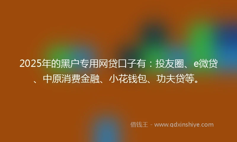 2025年的黑户专用网贷口子有：投友圈、e微贷、中原消费金融、小花钱包、功夫贷等。