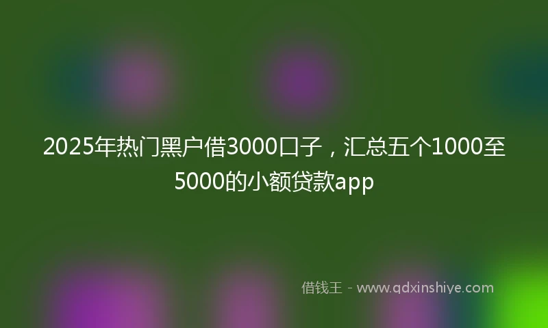 2025年热门黑户借3000口子，汇总五个1000至5000的小额贷款app