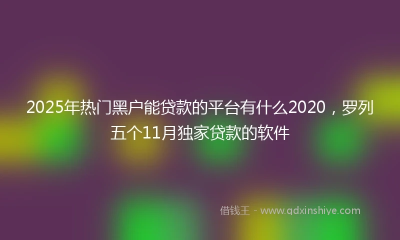 2025年热门黑户能贷款的平台有什么2020，罗列五个11月独家贷款的软件
