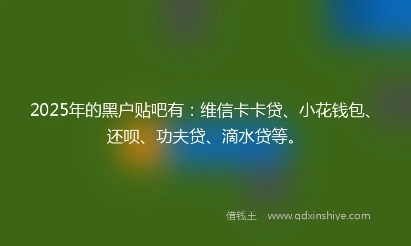 2025年的黑户贴吧有：维信卡卡贷、小花钱包、还呗、功夫贷、滴水贷等。